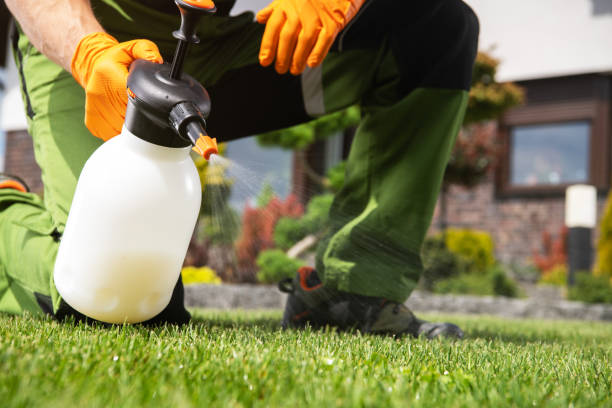 Wasp Removal Services in Linton, IN