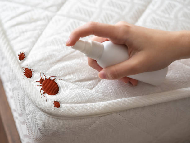 Trusted Linton, IN Pest Control Experts