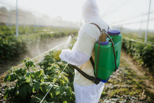 Best Residential Pest Control  in Lton, IN